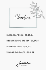 Charline One-Piece Swimsuit
