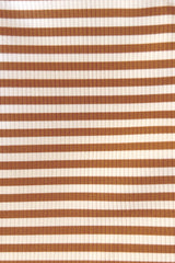 Carina One Piece Swimsuit