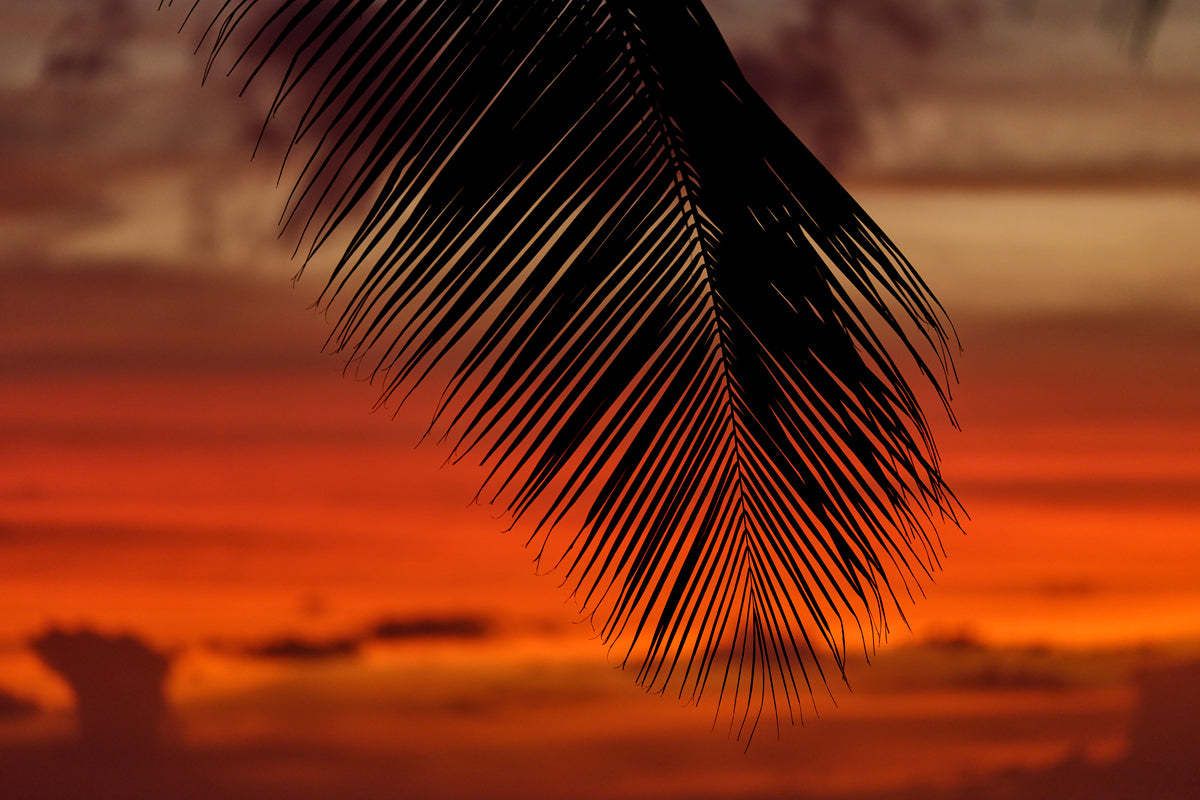 Full Width Image